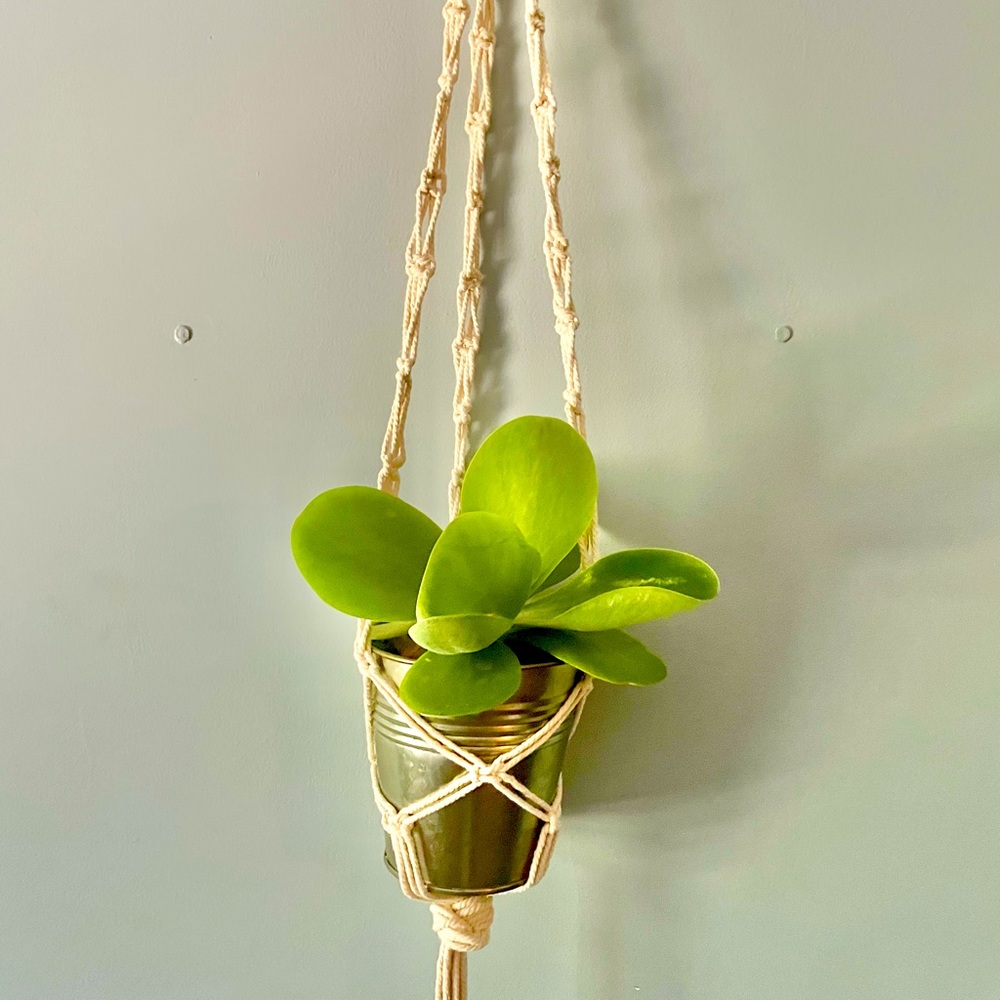 Hand knotted macrame plant hanger
